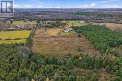 1651 CAMP LINE ROAD | North Kawartha Ontario | Slide Image Forty