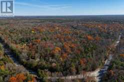 18 HUGILL ROAD | Coboconk Ontario | Slide Image One