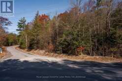 18 HUGILL ROAD | Coboconk Ontario | Slide Image Six