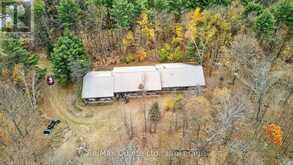 14945 HIGHWAY 62 HIGHWAY | Madoc Ontario | Slide Image Thirty