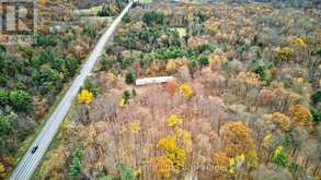 14945 HIGHWAY 62 HIGHWAY | Madoc Ontario | Slide Image Thirty-one