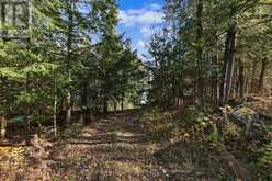 94 FIRE ROUTE 277 | North Kawartha Ontario | Slide Image Six