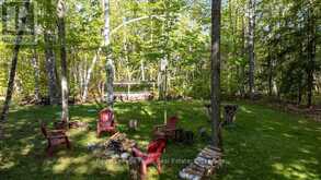 57 MYSTIC POINT ROAD | North Kawartha Ontario | Slide Image Thirty-six