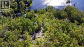 57 MYSTIC POINT ROAD | North Kawartha Ontario | Slide Image Forty-one