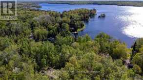 57 MYSTIC POINT ROAD | North Kawartha Ontario | Slide Image Four