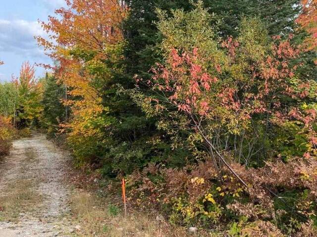 L1 C1 SOUTH 1/2 LOT 1 CON 1 ROAD Englehart Ontario, P0J 1H0 - Vacant Land For Sale