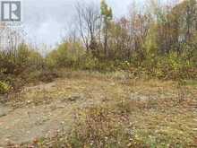 Lot 1 Con 5 PCL 6283, 6284, 6285, 6286 East of Road | Marter Ontario | Slide Image Two