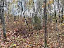 Lot 1 Con 5 PCL 6283, 6284, 6285, 6286 East of Road | Marter Ontario | Slide Image Six