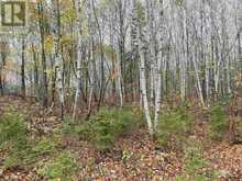 Lot 1 Con 5 PCL 6283, 6284, 6285, 6286 East of Road | Marter Ontario | Slide Image Seven
