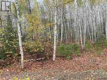 Lot 1 Con 5 PCL 6283, 6284, 6285, 6286 East of Road | Marter Ontario | Slide Image Nine