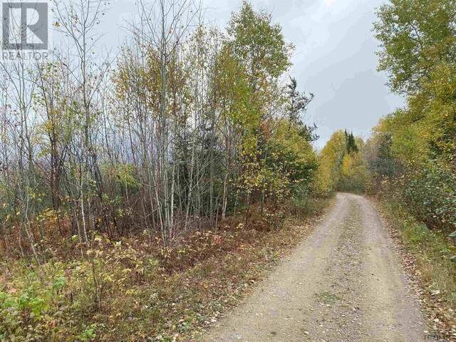 Lot 1 Con 5 PCL 6283, 6284, 6285, 6286 East of Road Marter Ontario, P0J 1H0