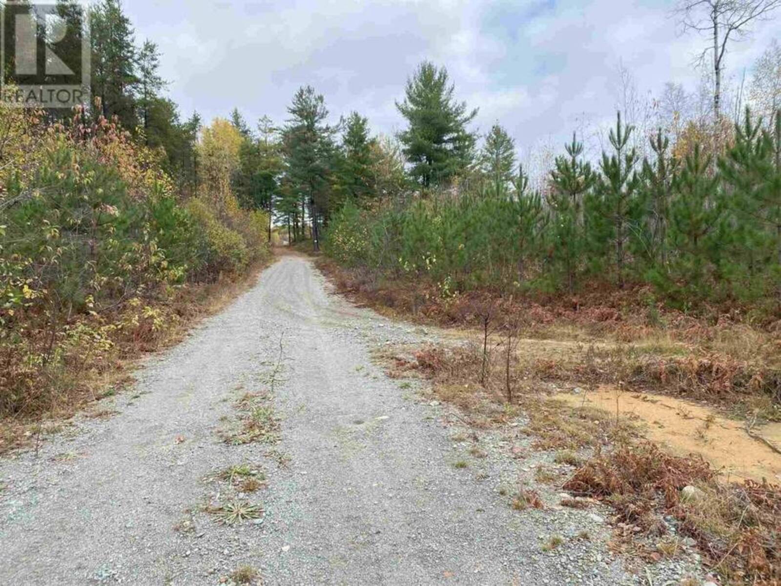 Lot 1 Con 5 PCL 6283, 6284, 6285, 6286 West of Road, Marter, Ontario P0J 1H0