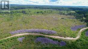 LOT 5 CON 3 | Timiskaming Ontario | Slide Image Twelve