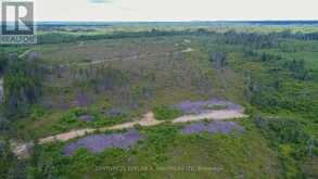 LOT 5 CON 3 | Timiskaming Ontario | Slide Image Twenty-two