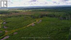 LOT 5 CON 3 | Timiskaming Ontario | Slide Image Two