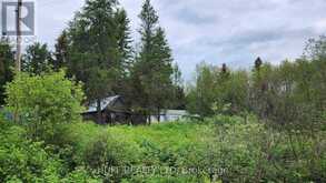 1780 GROUSE ROAD S | Black River-Matheson Ontario | Slide Image Sixteen