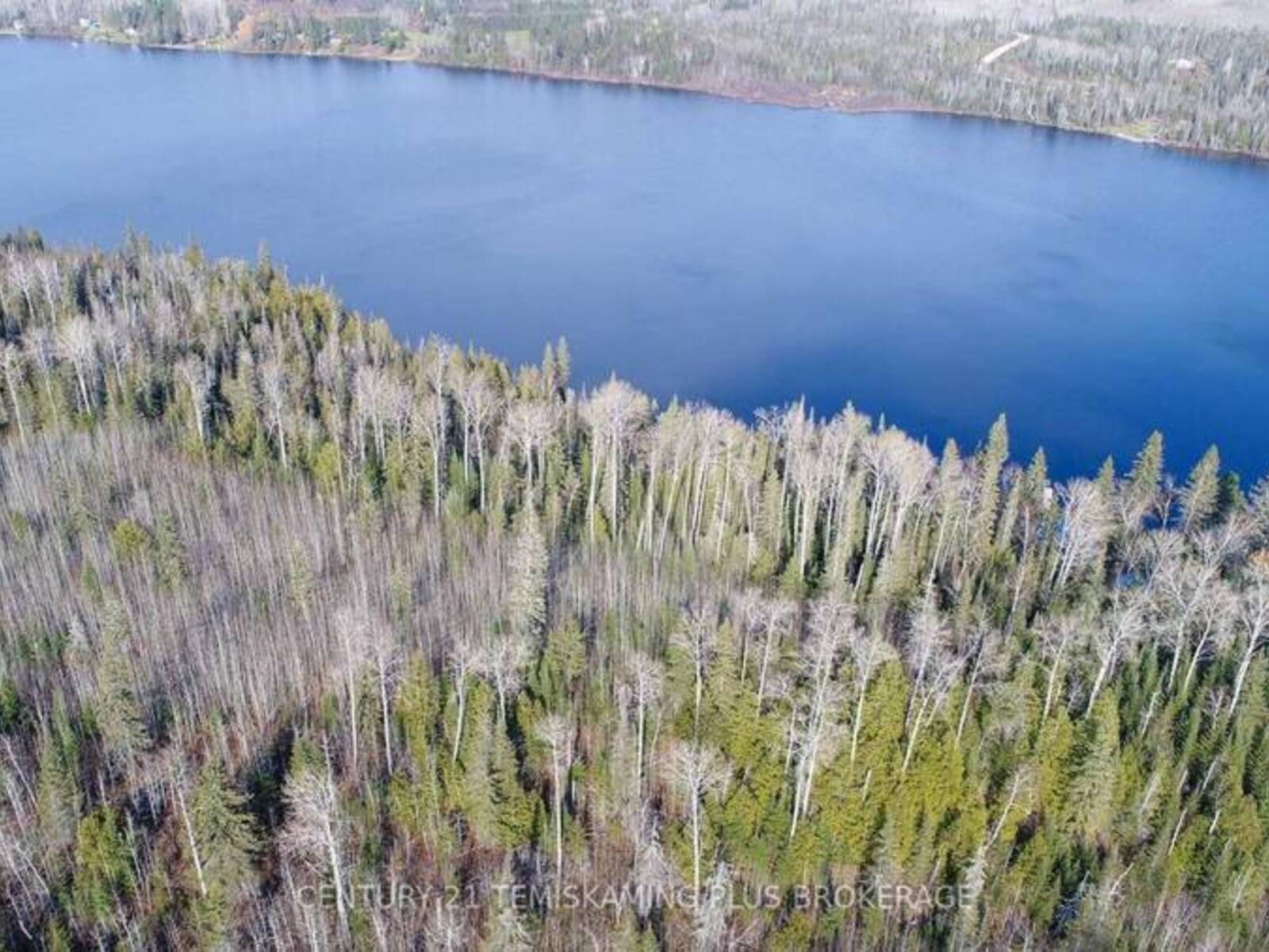 LOT 11 CON 4, LONG LAKE, Englehart, Ontario P0J 1H0