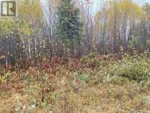 LT 1 CON 6 54R-6390 LOT 1 CON 6 MARTER TWP ROAD | Englehart Ontario | Slide Image Six