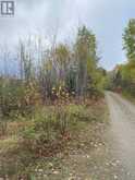 LT 1 CON 6 54R-6390 LOT 1 CON 6 MARTER TWP ROAD | Englehart Ontario | Slide Image Eight