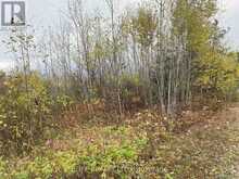 LT 1 CON 6 54R-6390 LOT 1 CON 6 MARTER TWP ROAD | Englehart Ontario | Slide Image Nine
