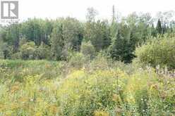 LOT 1 CAMPBELL'S ROAD | West Timiskaming Ontario | Slide Image Twenty-five