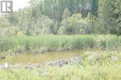 LOT 1 CAMPBELL'S ROAD | West Timiskaming Ontario | Slide Image Twenty-six
