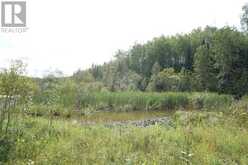 LOT 1 CAMPBELL'S ROAD | West Timiskaming Ontario | Slide Image Twenty-seven