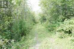 LOT 1 CAMPBELL'S ROAD | West Timiskaming Ontario | Slide Image Twenty-eight