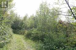 LOT 1 CAMPBELL'S ROAD | West Timiskaming Ontario | Slide Image Twenty-nine
