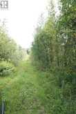 LOT 1 CAMPBELL'S ROAD | West Timiskaming Ontario | Slide Image Thirty-one