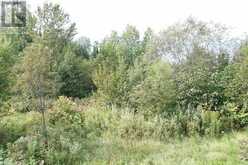 LOT 1 CAMPBELL'S ROAD | West Timiskaming Ontario | Slide Image Thirty-two