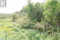 LOT 1 CAMPBELL'S ROAD | West Timiskaming Ontario | Slide Image Thirty-three