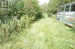LOT 1 CAMPBELL'S ROAD | West Timiskaming Ontario | Slide Image Thirty-four