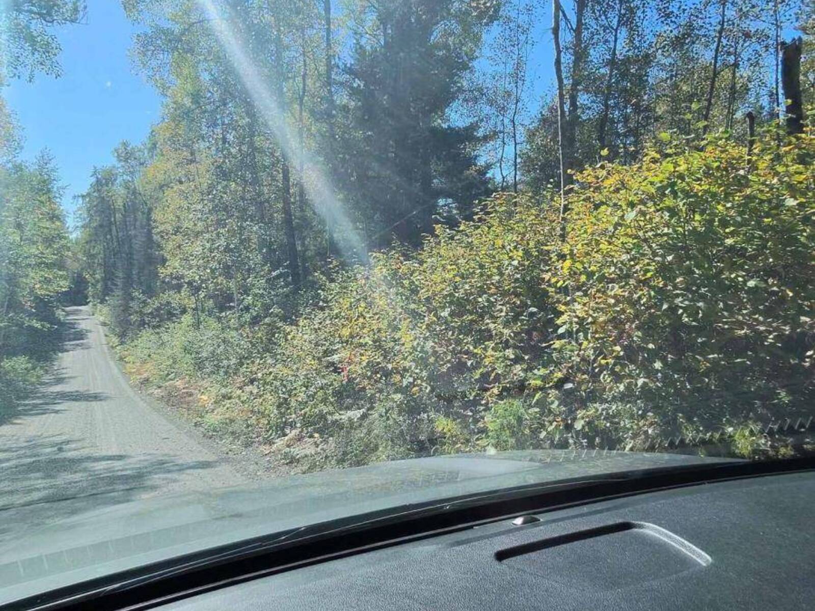 PART 11 LOT 11 CONCESSION 6 GIRL GUIDE ROAD, Temiskaming Shores, Ontario P0J 1C0