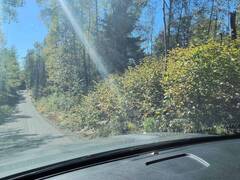 PART 11 LOT 11 CONCESSION 6 GIRL GUIDE ROAD Temiskaming Shores Ontario, P0J 1C0