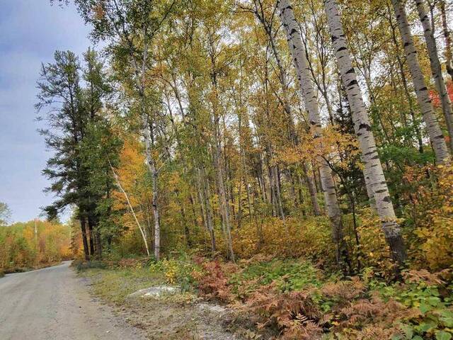 PART 12 GIRL GUIDE ROAD Temiskaming Shores Ontario, P0J 1C0 - Vacant Land For Sale