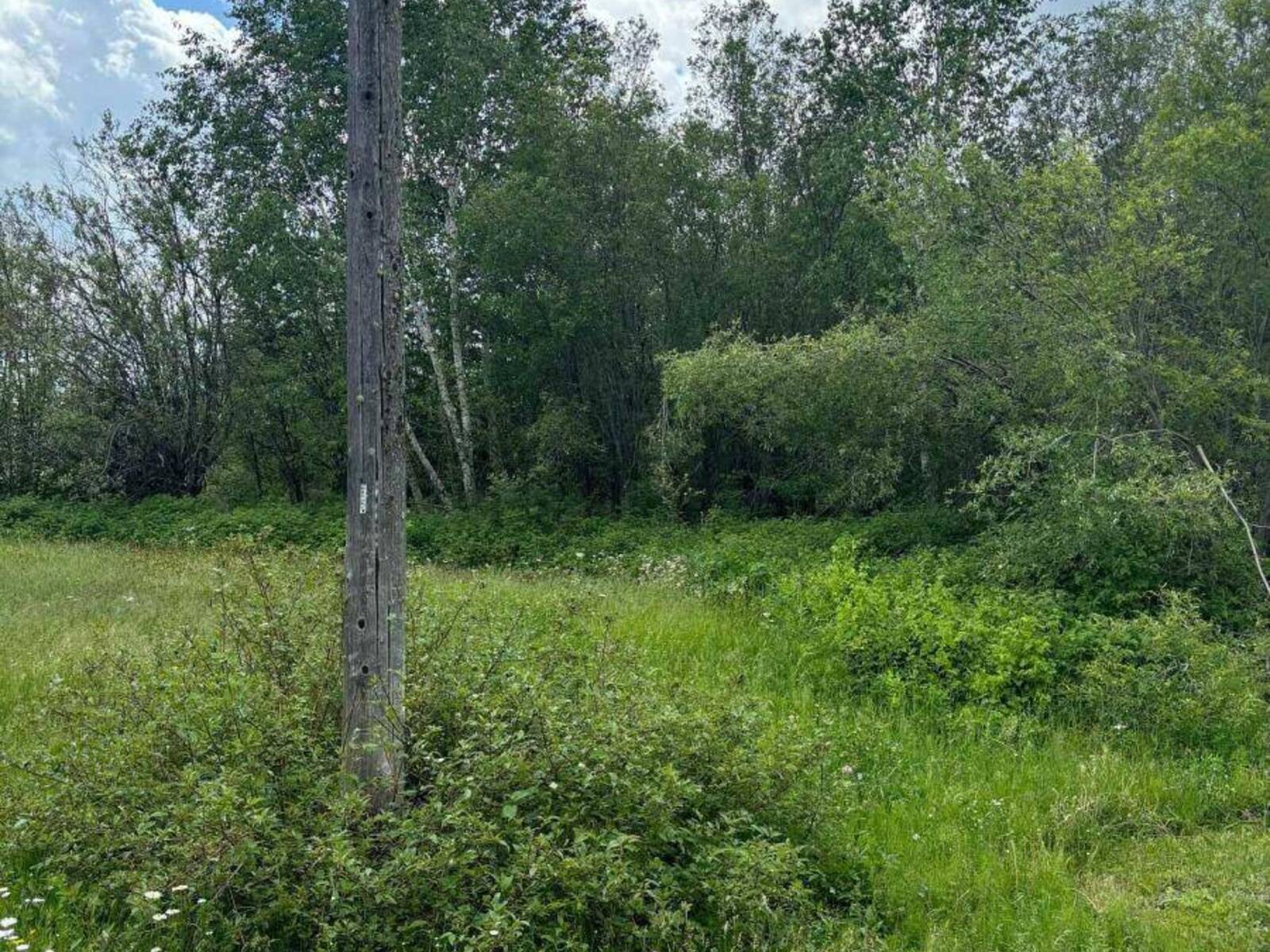 L0T 94-95 NELSON STREET, Englehart, Ontario P0J 1B0