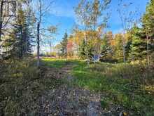PCL5224 LITTLE ROAD | Englehart Ontario | Slide Image Fourteen