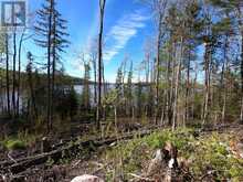 54-C-247082 PART OF PIN 61390-0273 | Temiskaming Shores Ontario | Slide Image Twenty-eight