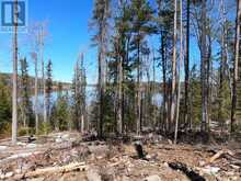 54-C-247082 PART OF PIN 61390-0273 | Temiskaming Shores Ontario | Slide Image Eight
