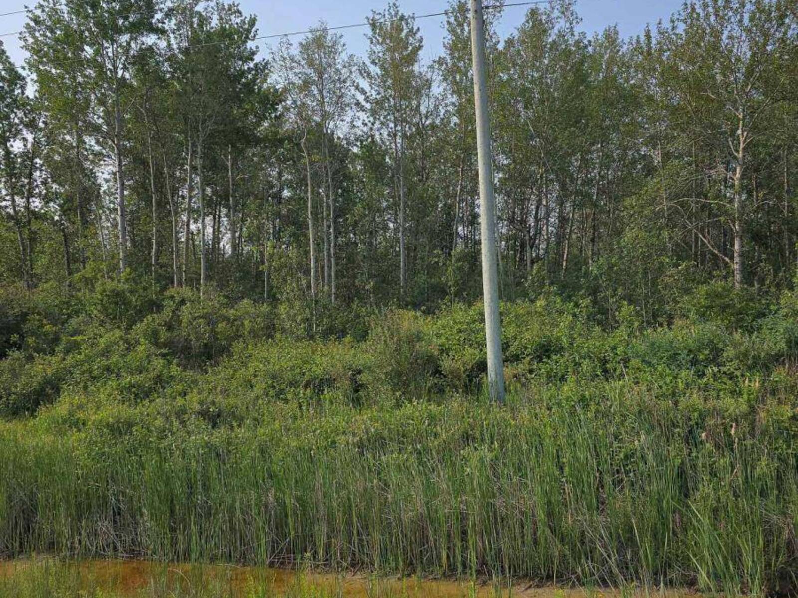 LOT 11 HIGHWAY 11 HIGHWAY S, Englehart, Ontario P0J 1H0