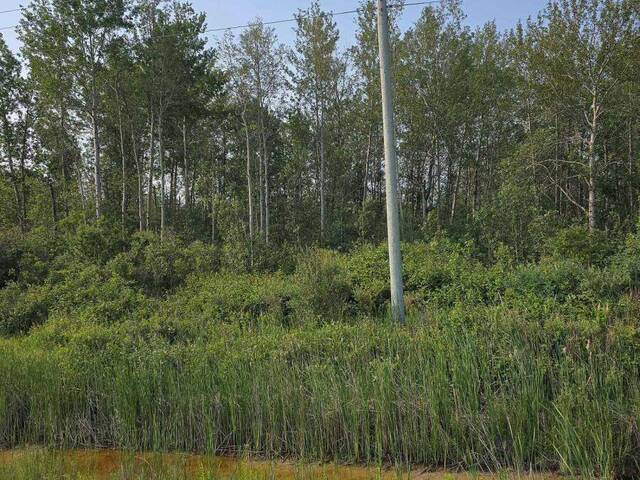 LOT 11 HIGHWAY 11 HIGHWAY S Englehart Ontario, P0J 1H0 - Vacant Land For Sale
