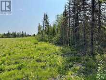 99 ASH PCL 1170 STREET | Kapuskasing Ontario | Slide Image Nine