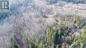 LOT 11 CON 4, LONG LAKE | Englehart Ontario | Slide Image Ten