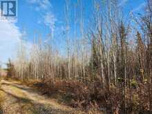 LOT 11 CON 4, LONG LAKE | Englehart Ontario | Slide Image Twenty-one