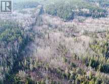 LOT 11 CON 4, LONG LAKE | Englehart Ontario | Slide Image Eight