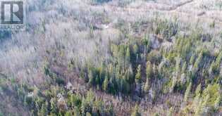 LOT 11 CON 4, LONG LAKE | Englehart Ontario | Slide Image Nine