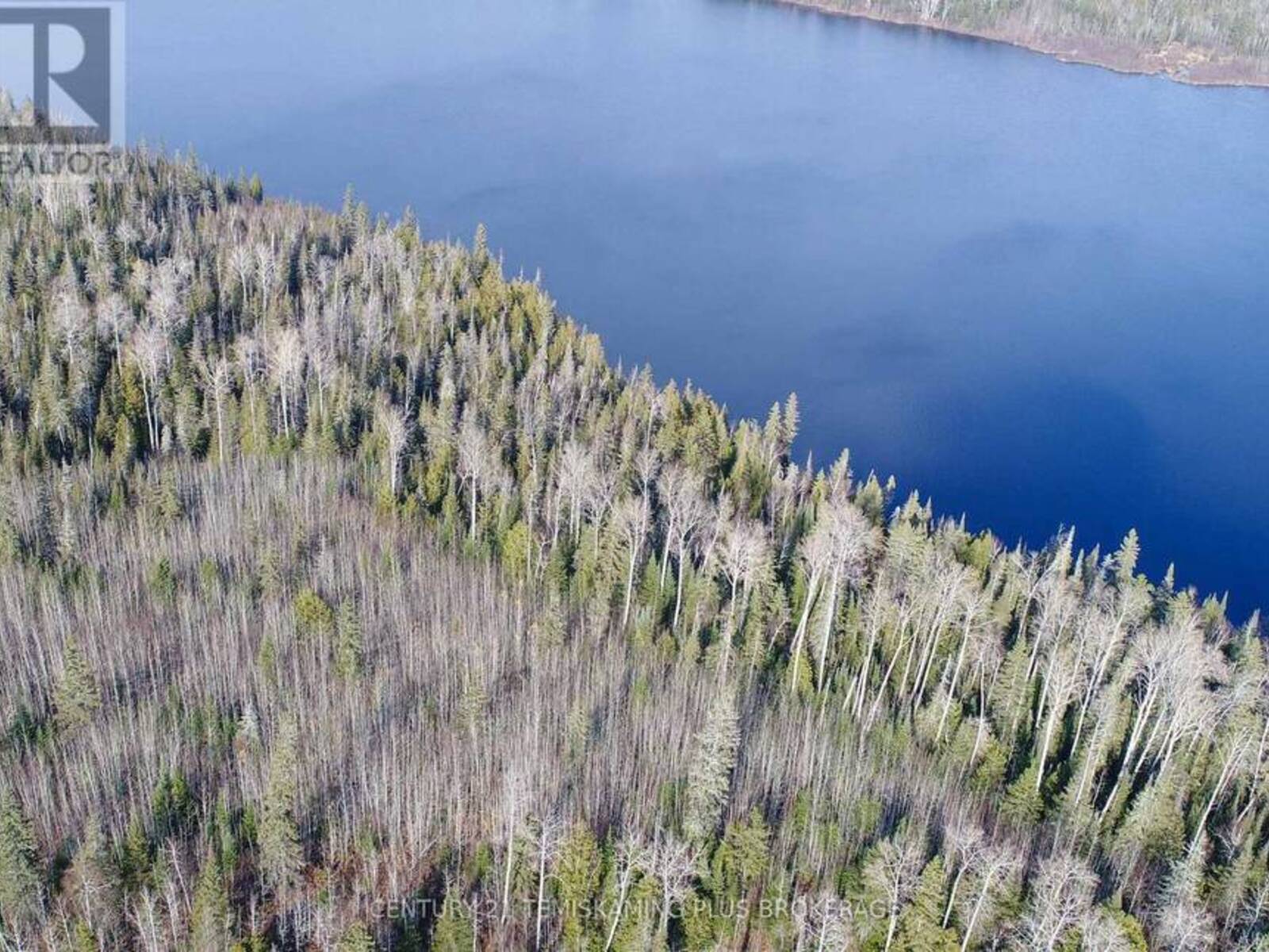 LOT 11 CON 4, LONG LAKE, Englehart, Ontario P0J 1H0