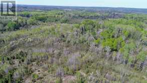 PCL8068 HIGHWAY 624 | Kirkland Lake Ontario | Slide Image Sixteen