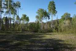 918420 PORTAGE BAY ROAD | Temiskaming Shores Ontario | Slide Image Six